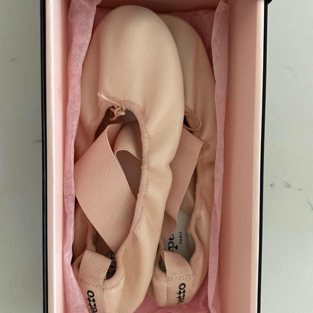 Repetto Gianna Ballet Flats - Picture 3 of 6